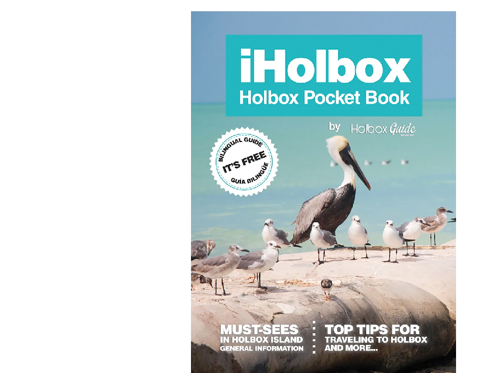 iHolbox Magazine 7